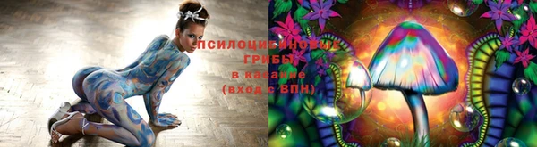ECSTASY Алексин