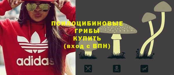 спайс Алзамай