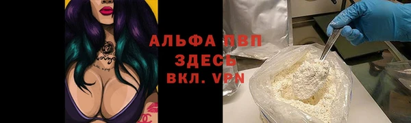 спайс Алзамай