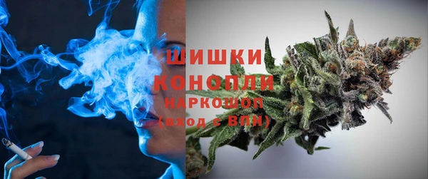 спайс Алзамай