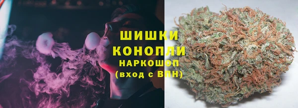 спайс Алзамай