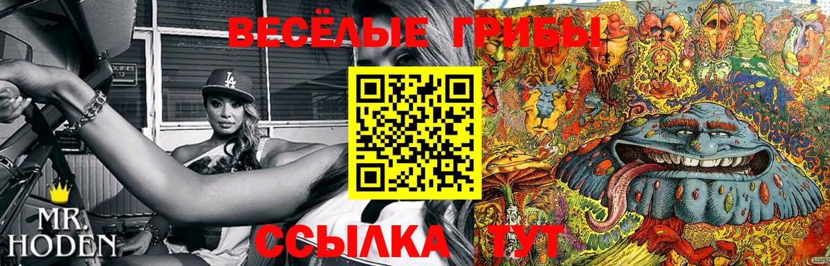 Псилоцибиновые грибы Magic Shrooms  Псилоцибиновые грибы Cubensis  Апшеронск  Вход с VPN 