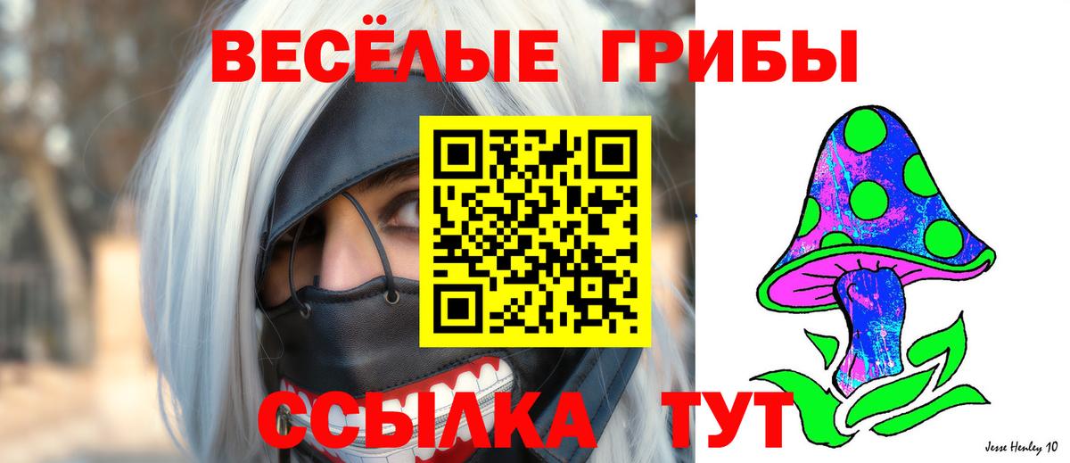 Псилоцибиновые грибы Magic Shrooms Апшеронск